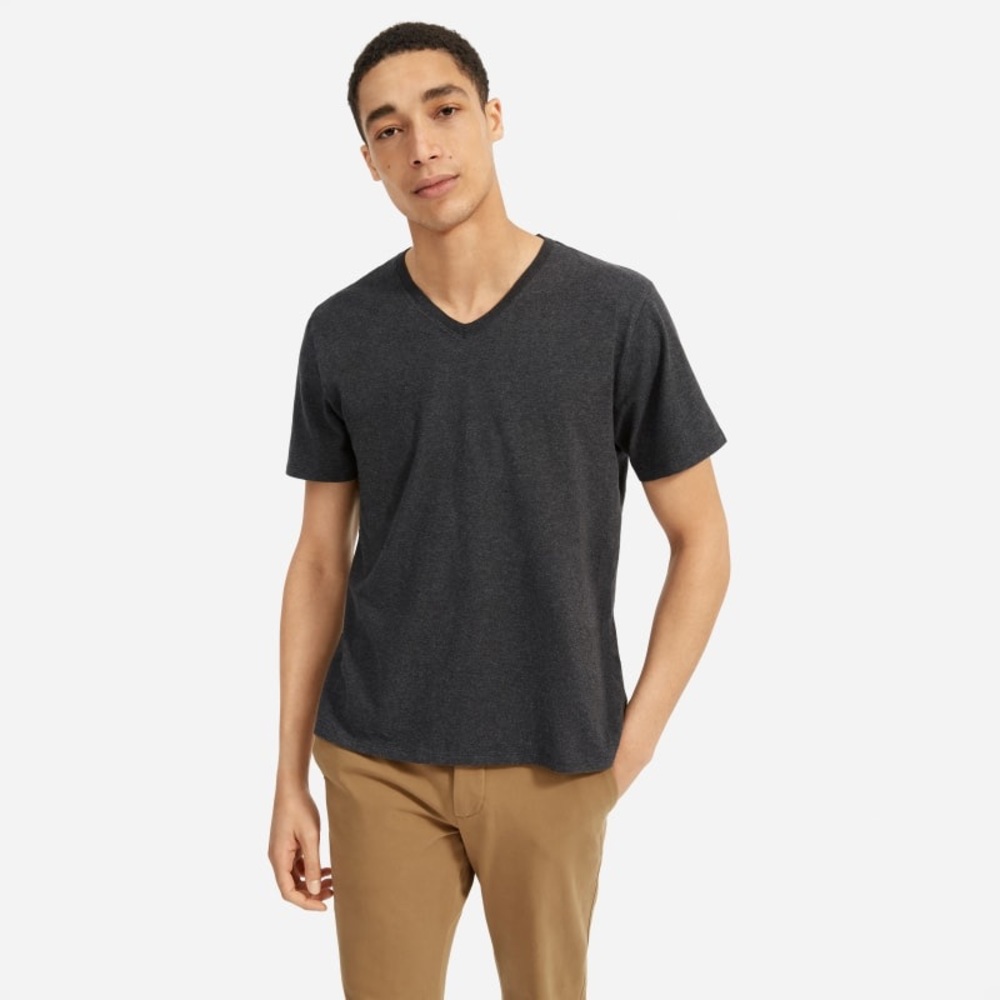 2/$20 Everlane gray men cotton v-neck t-shirt EUC